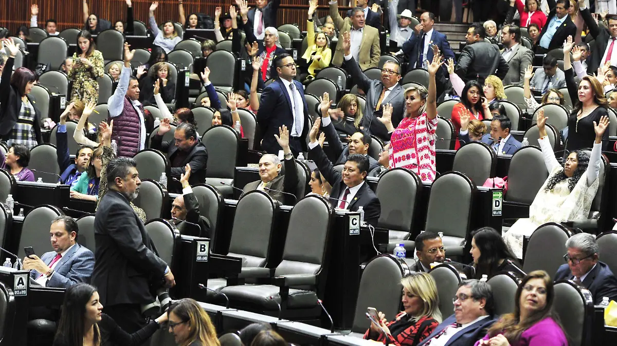 SESION DIPUTADOS -06